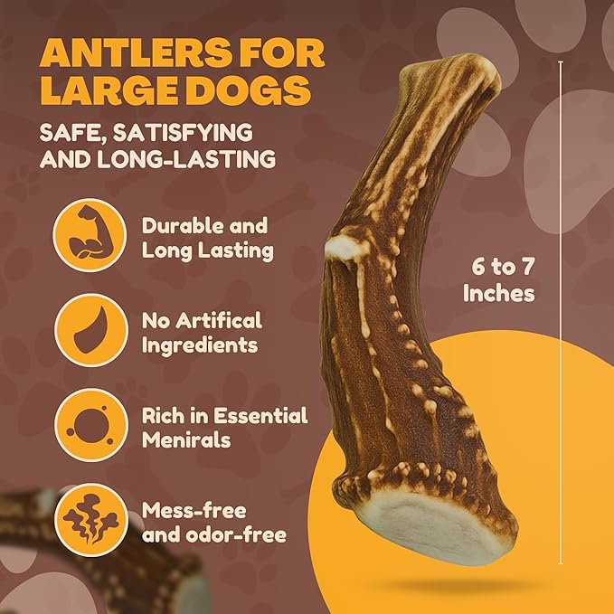 WhiteTail Naturals (3 Pack Deer Antlers for Large Dogs, Antler Dog Chews - Crafted in USA Dog Antler - Long Lasting Bone for Aggressive Chewers