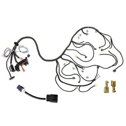 Standalone Wiring Harness 6.2 L, LS Swap, Fits 06-15 LS3 LS2 Vortec Engine | TR6060 T56 58X DBWZ, Stand Alone Wiring Harness, LS Wire Harness, Drive by Wire Throttle Body