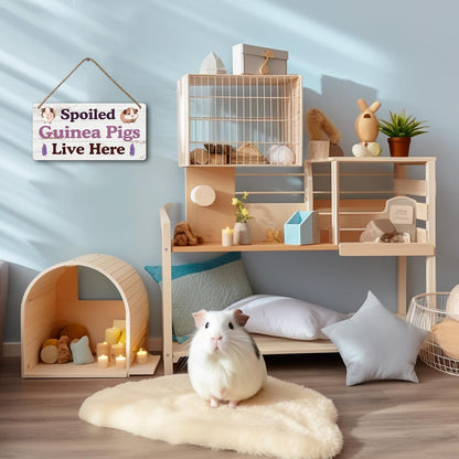 Big Hamster Ball & Guinea Pig Hideout - Stuffed Animals & Accessories for Guinea Pig Cage - 12x6 In Wooden Sign
