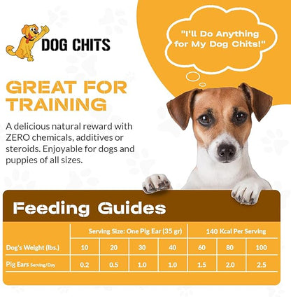 Dog Chits Pig Ears for Dogs – 100% Natural Baked Pig Ear Dog Treats & Training Chews – High Protein, Lower Fat, Grain-Free – Great for Puppies, Dental Support – Medium Size, 15 Pack – Made in USA