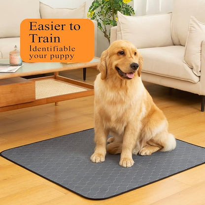 Bunlitent Washable Pee Pads for Dogs, 36"x48", 5 Pack, Reusable Puppy Pads | Reusable, Quick Dry, Anti-Slip, Large, Waterproof, Whelping Pad for Pet, Playpen, Incontinence, Housebreaking, Training, Grey