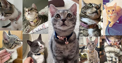 Personalized Cat Collar with Bells,Velvet Customized Small Cat Collar with Name Tag,Pet Collar with Name Phone Number Engraved ID Tags for Boy and Girl Kitten Cats (Milk Tea)
