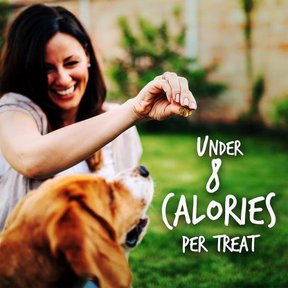 Fruitables Baked Dog Treats, Healthy Pumpkin Treat for Dogs, Low Calorie & Delicious, Free of Wheat, Corn and Soy, Made in the USA, Apple and Crispy Bacon Flavor, 12oz