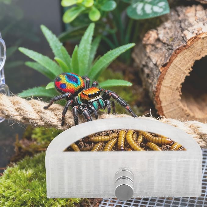 3pcs Jumping Spider Water Bowl with Magnetic, Leak-Proof Jumping Spider Food Feeding Dispenser Dish Enclosure Decor Accessories for Tarantula Mantis Small Reptiles and Pets (Half Round)