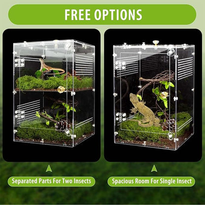 Acrylic Jumping Spider Enclosure with Removable Divider – 12"*8"*8" Large Reptile Terrarium for Praying Mantis, Arboreal Tarantula, Snails, Lizard, Gecko, Secure Habitat with Front Door & Top Lid