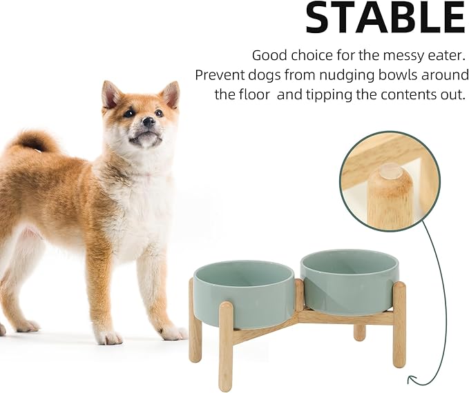 Ceramic 6.1inch Raised Dog Bowl