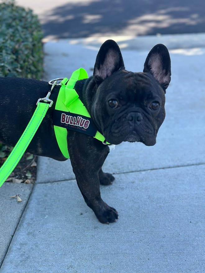 Adjustable Dog Harness– No Pull, No Choke – for English Bulldogs, French Bulldogs, Pugs & Broad-Chested Breeds – Easy, Safe Walks (NEON Green, Medium)