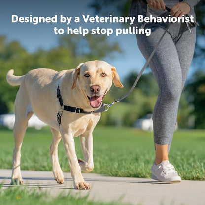 PetSafe Easy Walk Harness, No Pull Dog Harness, Raspberry, Large | Patented Martingale Loop Gives Gradual Shoulder Pressure to Stop Pulling, Front-Chest Leash Clip Prevents Gagging