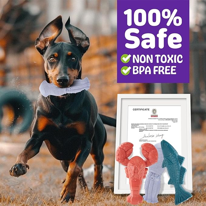Dog Toys for Aggressive Chewers, 3 Pack Indestructible Dog Chew Toys, Super Chewer Toys with Tough Nylon Bacon Flavor for All Breed Sizes, Teeth Cleaning & Training, Boredom Relief