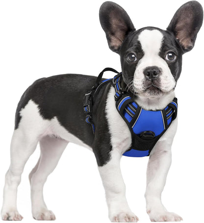 rabbitgoo Dog Harness No Pull with 2 Leash Clips, Adjustable Soft Padded, Reflective Oxford No Choke Pet Vest with Easy Control Handle for Small Dogs, Dazzling Blue, S