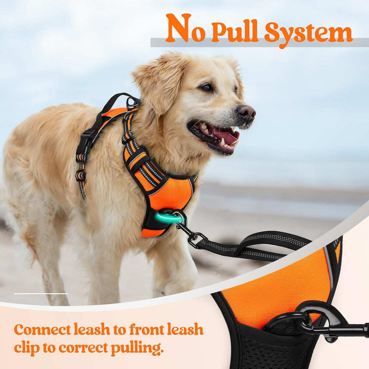 rabbitgoo Dog Harness No Pull with 2 Leash Clips, Adjustable Soft Padded, Reflective Oxford No Choke Pet Vest with Easy Control Handle for Large Dogs, Orange, XL