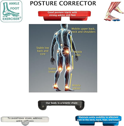 Ankle Foot Exerciser® Ankle Strengthener