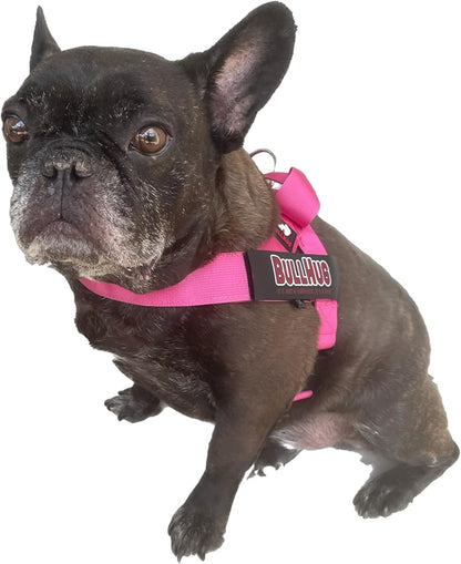 Adjustable Dog Harness– No Pull, No Choke – for English Bulldogs, French Bulldogs, Pugs & Broad-Chested Breeds – Easy, Safe Walks (Teal, Small)
