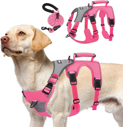 PUPTECK Escape Proof Dog Harness and Leash Set Upgraded No Pull Reflective Dog Vest with Lift Handle, Easy Control Pet Harness for Medium Large Dogs Training Walking Running, Fuchsia, XL