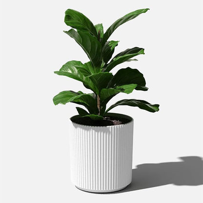 Veradek Demi 20 in. Round White Plastic Planter DMV20W