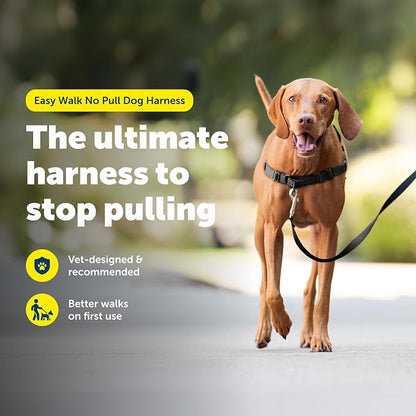 PetSafe Easy Walk Harness, No Pull Dog Harness, Charcoal Gray, Medium | Patented Martingale Loop Gives Gradual Shoulder Pressure to Stop Pulling, Front-Chest Leash Clip Prevents Gagging
