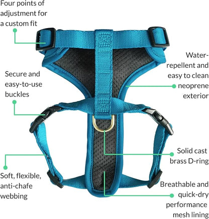 Adventure Dog Harness - Stylish & Durable Small Dog Harness for Outdoor Adventures and Everyday Wear - Pacific Blue Neoprene Adjustable Harness for Dogs with Reflective Piping, Brass D-Ring