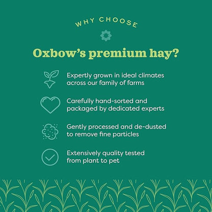Oxbow Timothy Hay, Rabbit & Guinea Pig Hay, High Fiber for Digestive Health, Grown in the USA, Veterinarian Recommended Small Pet Supplies, for Rabbits, Guinea Pigs, & Chinchillas, 15 oz.