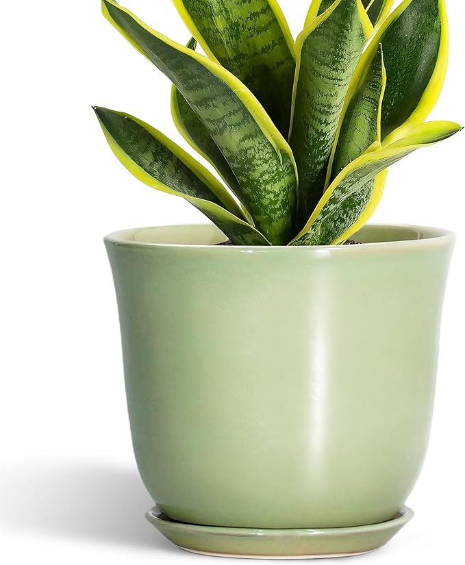Ceramic Flower Pots - 8 Inch Plant Pot Drainage Hole and Saucer, Round Plant Pot with for Indoor Outdoor, Modern Planter, Decorative Planter, Home Porch Room Decor, Housewarming Gift, Green