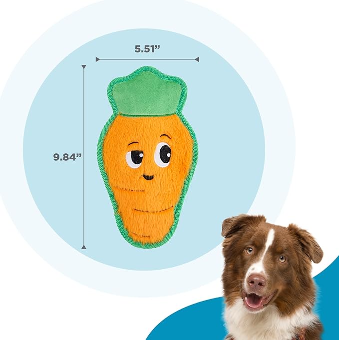 Outward Hound Tough Skinz Durable Squeaky Dog Toy with Two Tough Layers, Carrot, Multicolor, Medium
