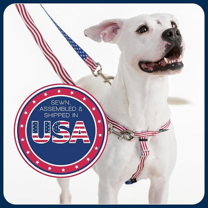 2 Hounds Design Freedom No Pull Dog Harness, Adjustable Harness, Easy Walking & Comfortable Control, Fits Small, Medium & Large Dogs, Solid Colors, Made in USA, 1" LG, Teal