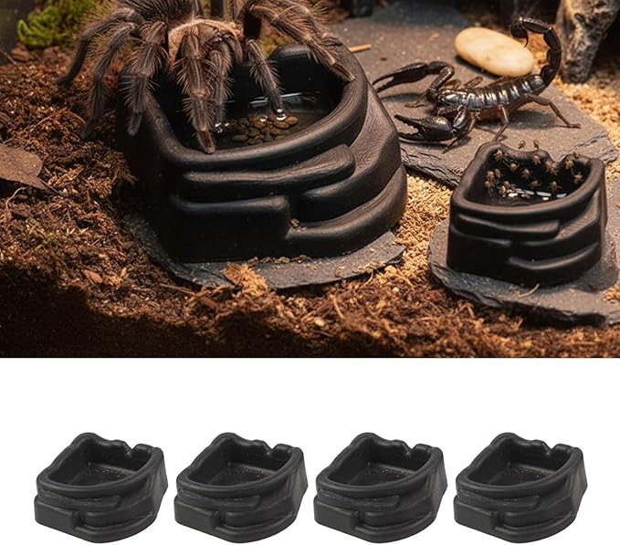 Miniature Water Dish for Scorpions Tanks and Arachnids Cages Nonslip Base Easy to Hygienic Transparents Reptiles Water Container