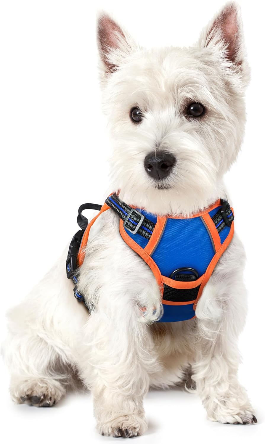 rabbitgoo Dog Harness No Pull with 2 Leash Clips, Adjustable Soft Padded, Reflective Oxford No Choke Pet Vest with Easy Control Handle for Puppy, Blue & Orange, XS