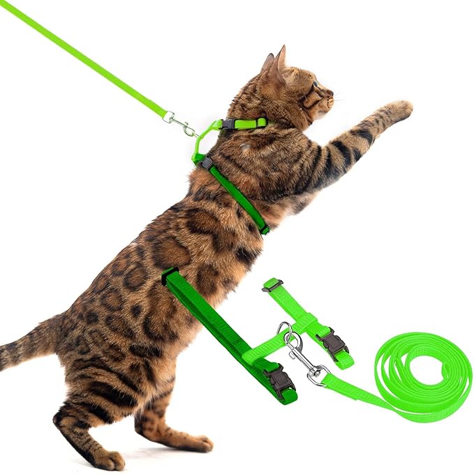 PUPTECK Adjustable Cat Harness and Leash Set Escape Proof Kitten Strap Collar for Walking Travel, Green, M