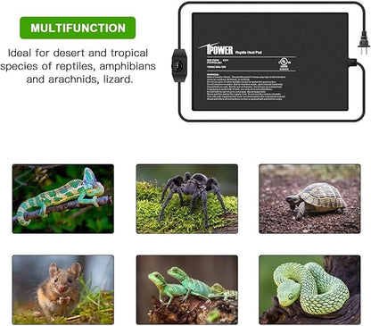 iPower 8 by 12-Inch Reptile Heat Mat with Temperature Adjustment, LCD Digital Aquarium Thermometer, Terrarium Heating Pad for Reptiles & Amphibians