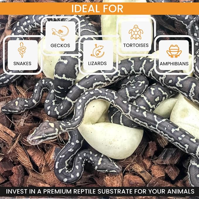 ReptiChip Reptile Bedding Loose Coconut Chip 36 Quart Coco Husk Substrate Mulch for Snake Habitat, Ball Python Terrarium, Turtle Tanks, Tortoise Enclosure