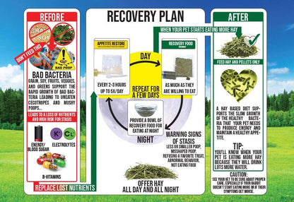 Sherwood Pet Health Rabbit Emergency kit and Bulk Recovery Food (800 Grams)…