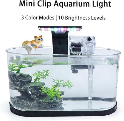 2.2 Gallon Fish Tank Kit, Small Aquarium Starter Tank with Filter and Light, Acrylic Nano Desktop Tank with Color-Changing LED & Decor - Complete Starter Kit for Betta Fish Shrimp Guppy Goldfish Beta