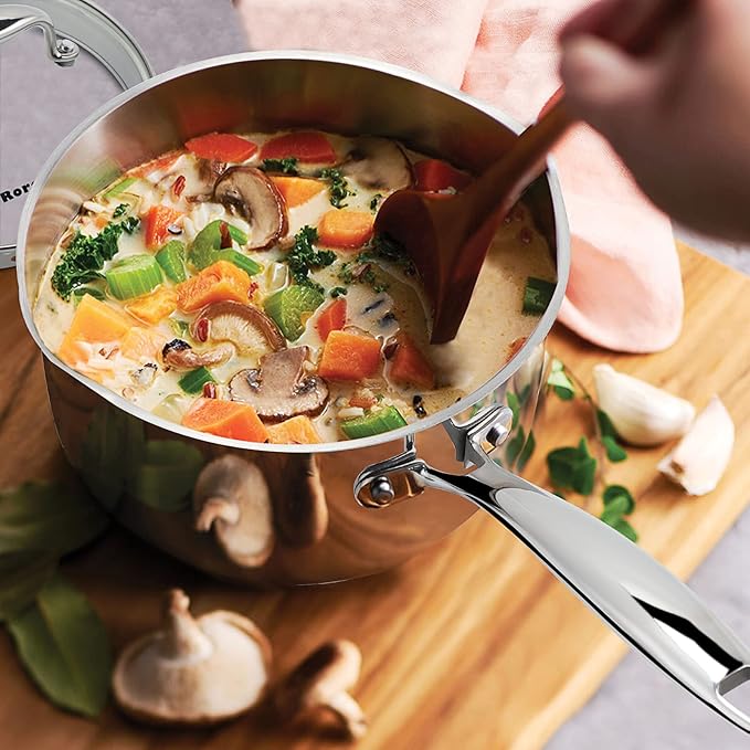 Rorence Stainless Steel Sauce pan: Saucepan