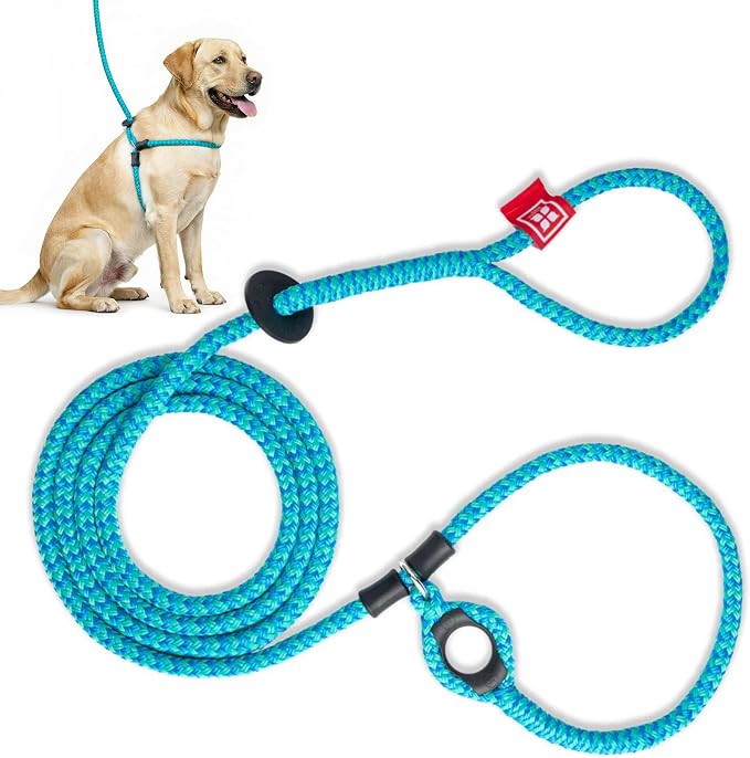 Harness Lead No Pull Dog Harness and Leash Set, Anti Pull Dog Harness for All Breeds and Sizes, One-Piece Cushioned Rope Design Safely Prevents Escaping and Pulling (Medium/Large, Blue/Multi)