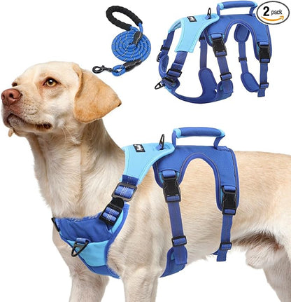 PUPTECK Escape Proof Dog Harness and Leash Set Upgraded No Pull Reflective Dog Vest with Lift Handle, Easy Control Pet Harness for Medium Large Dogs Training Walking Running, Blue, L