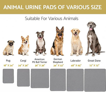 CoolShields Washable Pee Pads for Dogs, 34'' x 52'', Grey, 1 Pack | Ultra-Absorbent Reusable Waterproof Puppy Pad for Crates, Playpens, Carpets, and Floors—Ideal for Dogs, Cats, and Small Pets