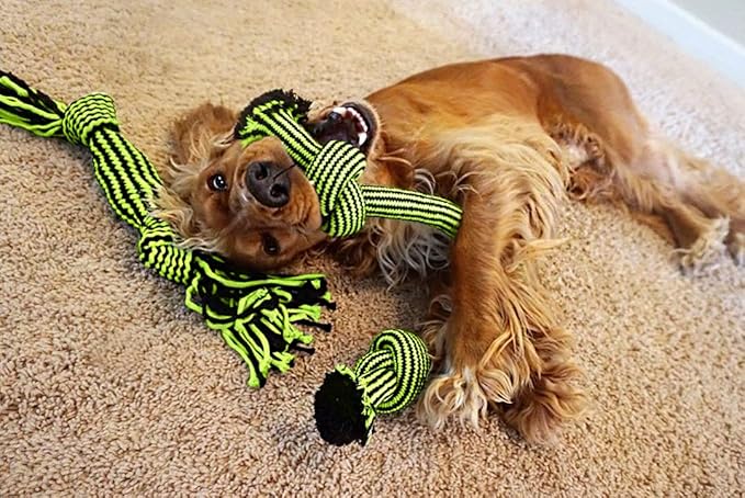 Jolly Pets Knot-N-Chew 3 Knot Squeaker Green/Black Large/x Large, JTJP043
