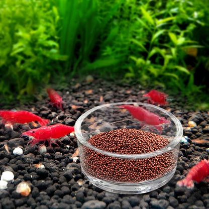 Senzeal 4X Glass Reptile Feeding Dish Food Water Bowl Feeder Bowl Cup Basin Tray Container for Small Pets Reptile Lizard Spider Scorpion Corn Snake Centipede Crickets