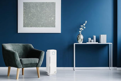 GermGuardian Air Purifier for Homes