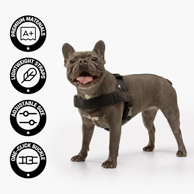 Dog Friendly Co. Dog Harness for Medium Sized Dogs (Brown, Medium) | One Click Buckle, Chafe Resistant Webbing, Adjustable Neck & Chest, and Heavy Duty D-Ring, Sturdy Comfortable and Easy to Use