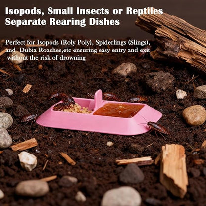 4PCS Dual Isopod Feeding Dish – Tiny Water & Food/Dry & Wet Feeder Bowl for Spiderlings, Juvenile Tarantula, Small Reptiles & Dubia Roaches– Vivarium Accessor