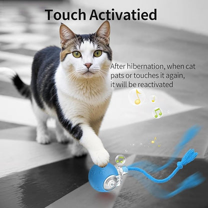 Interactive Cat Toys, Automatic Moving Cat Toys for Bored Indoor Adult Cats, Fast Rolling, Chirping & Motion-Activated Kitty Toys, Fun Gift for Cats with Speedy Tail 2.0, USB Rechargeable, Blue