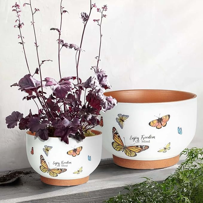 YBX 8 Inch + 6 Inch Terracotta Plant Pots, Flower Pots for Indoor Plants with Drainage, Planters with Butterfly Accent for Indoor Plants (Tropical)
