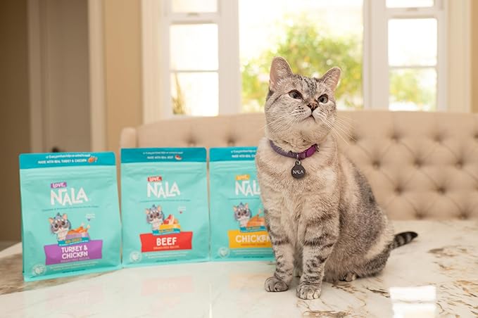 LOVE, NALA - Beef Air Dried Cat Food - Award Winning - Made in USA - Complete & Balanced Cat Food for All Life Stages- 1 Bag - 1 lb.