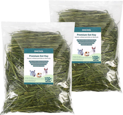 Premium Oat Hay for Pets - Dust Free Natural Green Fresh Pet Food Hay for Rabbits, Guinea Pigs, Chinchillas, Hamsters & Gerbils - 2.2lbs