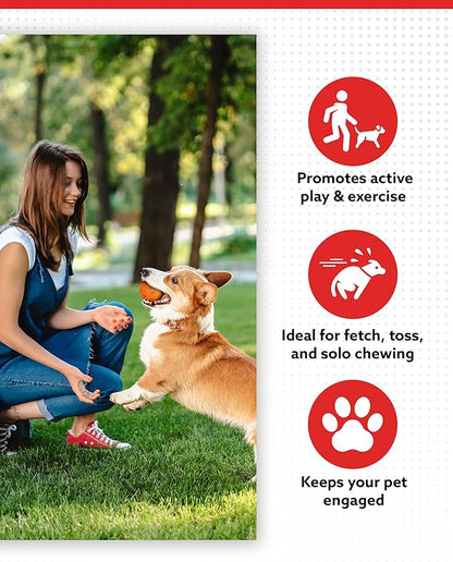 ALPI Chomp Ball - Durable Chew Toys for Dogs & Other Pets - Stimulating Dog Toys for Aggressive Chewers - Soft Dog Chews - 3-Pack, Assorted
