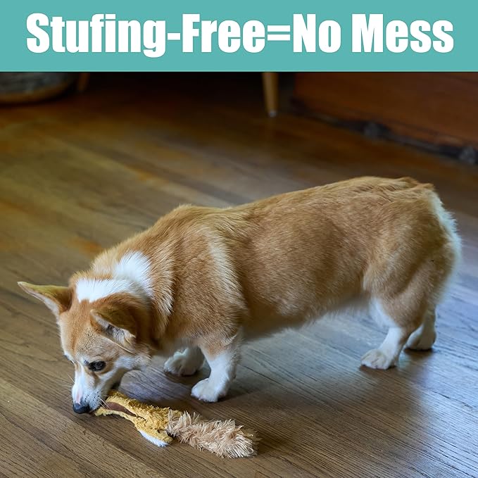SPOT Skinneeez Flying Squirrel 14 Inch Stuffing-Free Plush Squeaky Dog Toy – Soft Tug-of-War Toy for Small and Medium Dogs – Mess-Free Interactive Chew Toy for Moderate Chewers