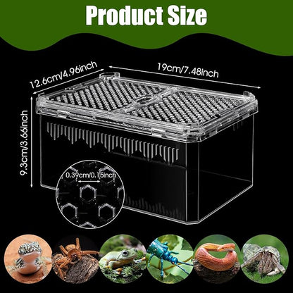 2 Pack Reptile Terrarium Tank, High-Transparency PET Enclosure with Magnetic Door - No Assembly Breathable Habitat for Tarantula, Spider, Hermit Crab, Cricket, Gecko (7.5"x5"x3.7")