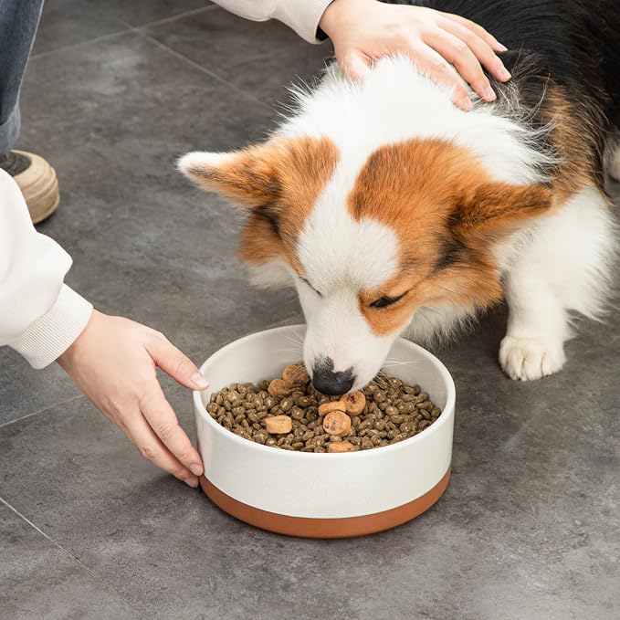 MALACASA Dog Bowls, Ceramic Dog Food and Water Bowls for Large Size Dogs, 6 Cups Capacity Pet Bowl for Large Dogs (L-6 Cups)