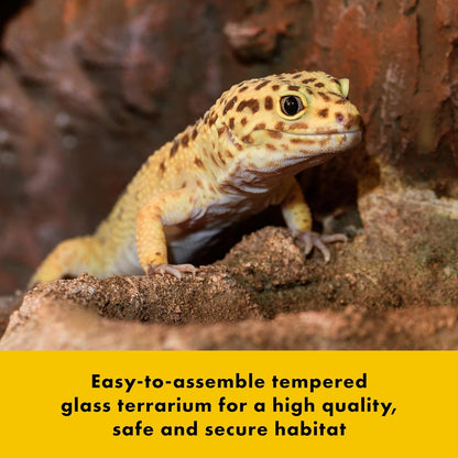 Zilla QuickBuild Reptile 20 Gallon Glass Terrarium Habitat with Swing Door For Geckos, Snakes, Lizards, Frogs, Turtles, and Tortoises, 30" x 12" x 12"